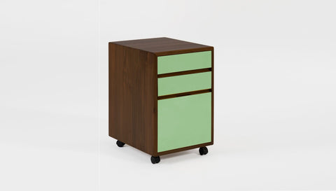 reddie-raw mobile storage 41W x 50D x 60H *cm / Solid Reclaimed Teak Wood~Walnut / Laminate~Light Green NCW Wood Pedestal Drawers