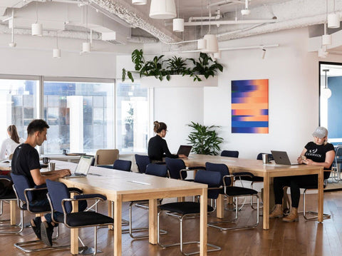 reddie-raw desk Bob Hot Desk